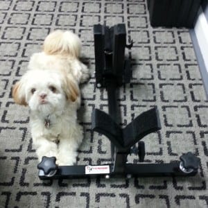 CTK Precision Gun Vise - Shih Tzu