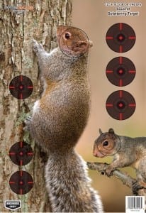 Birchwood Casey Pregame Squirrel Target