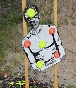 Zombie Pandemic Target