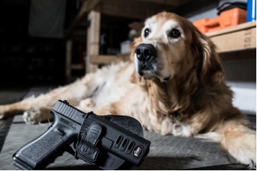 Fobus Holster and ECAD Service Dog