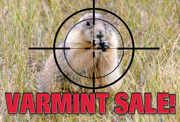 American Gunsmithing Institute Spring Sale