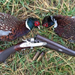 Black Powder Pheasants