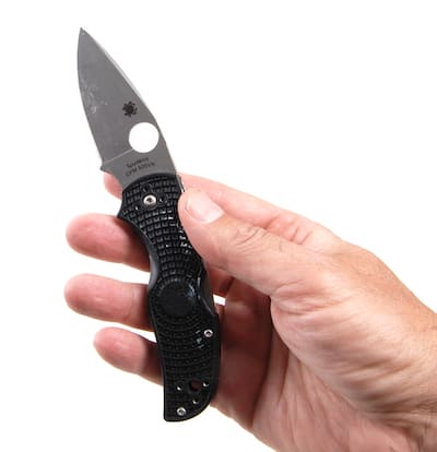 Spyderco Native 5 FRN Knife