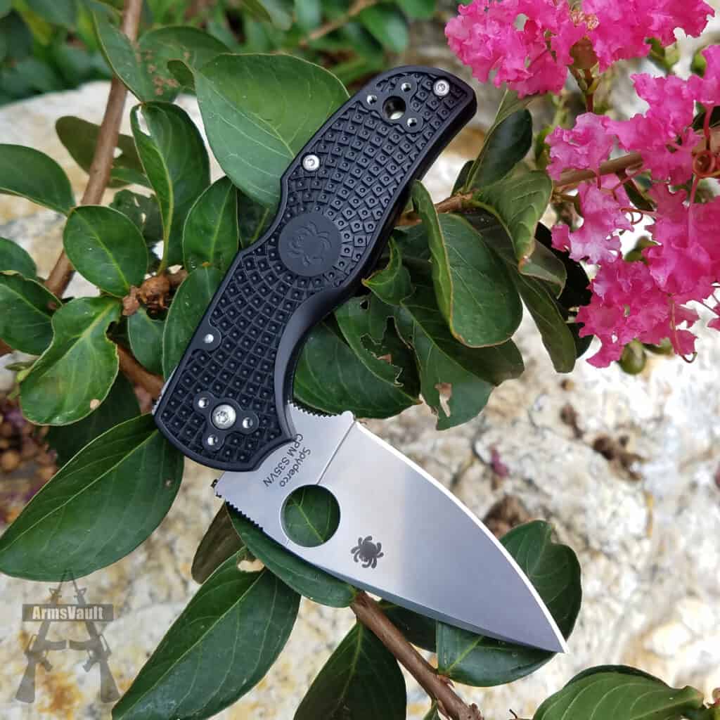 Spyderco Native 5