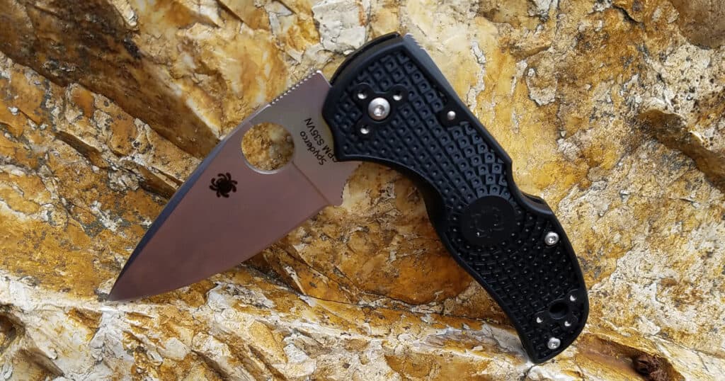 Spyderco Native 5 Knife