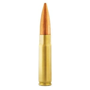 Aguila 300 AAC Blackout Cartridge