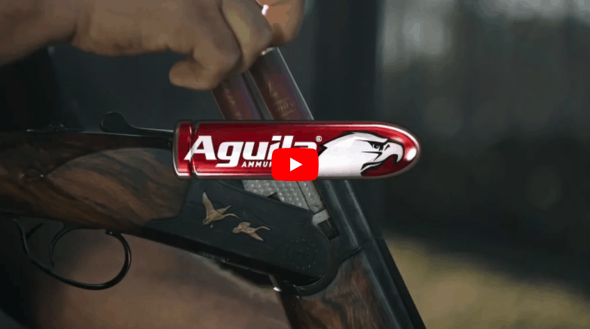 Aguila Ammunition Guns Are Hungry TV Spot Awarded Gold Award