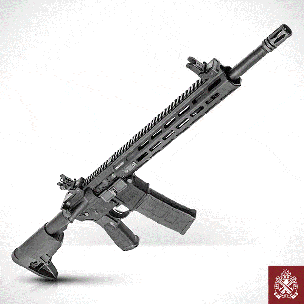 Springfield Armory SAINT AR-15 at National Patrol Rifle Conference