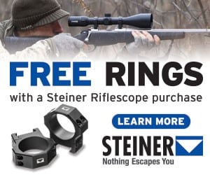 Steiner Free Rings