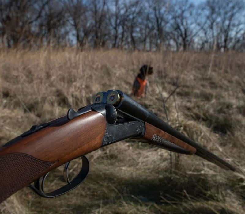 CZ BOBWHITE G2