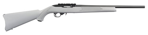 Ruger 10-22 Model 31139