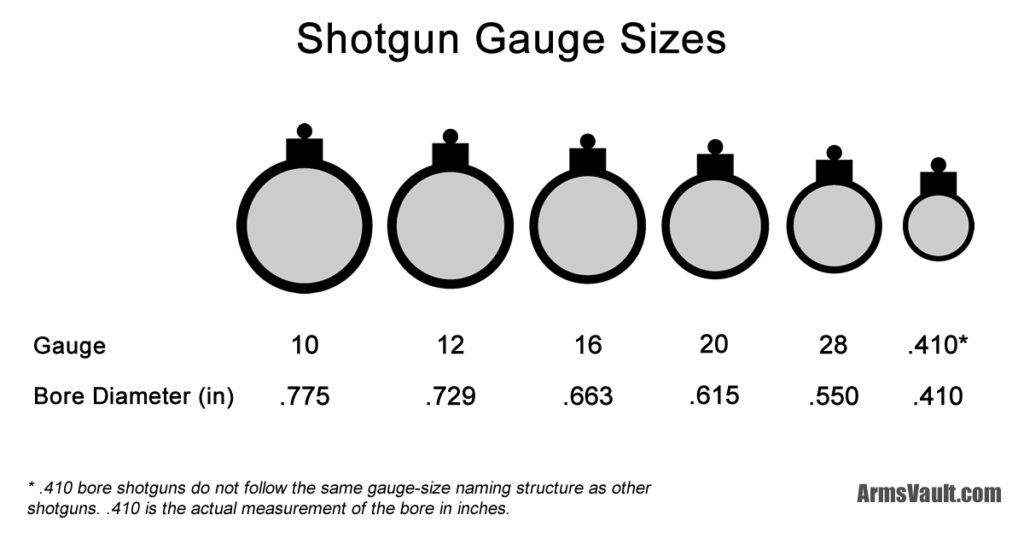 Shotgun Gauge Sizes and Bore Diameter