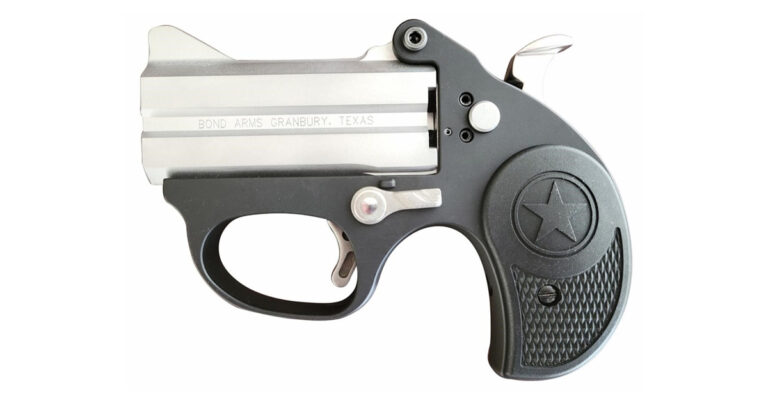 Bond Arms Stinger